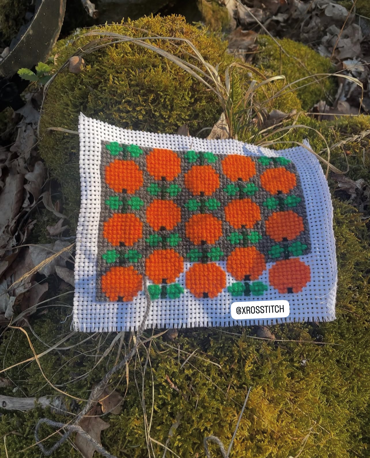 Broderikit med ullgarn ” apelsin trädgård ”