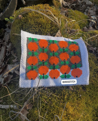 Broderikit med ullgarn ” apelsin trädgård ”