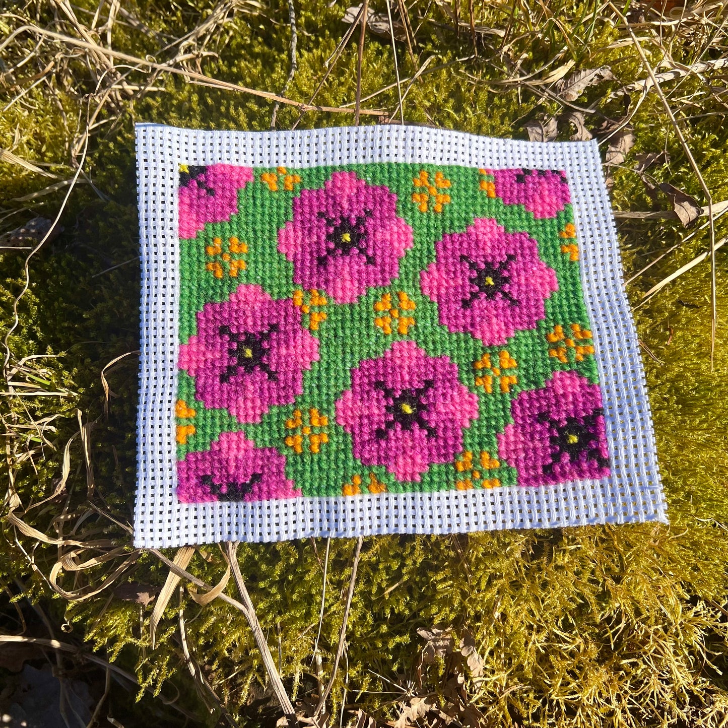 Broderikit med ullgarn ”Poppig Petunia” 13x15,5cm